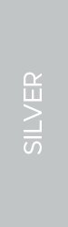 Silver Sponsors