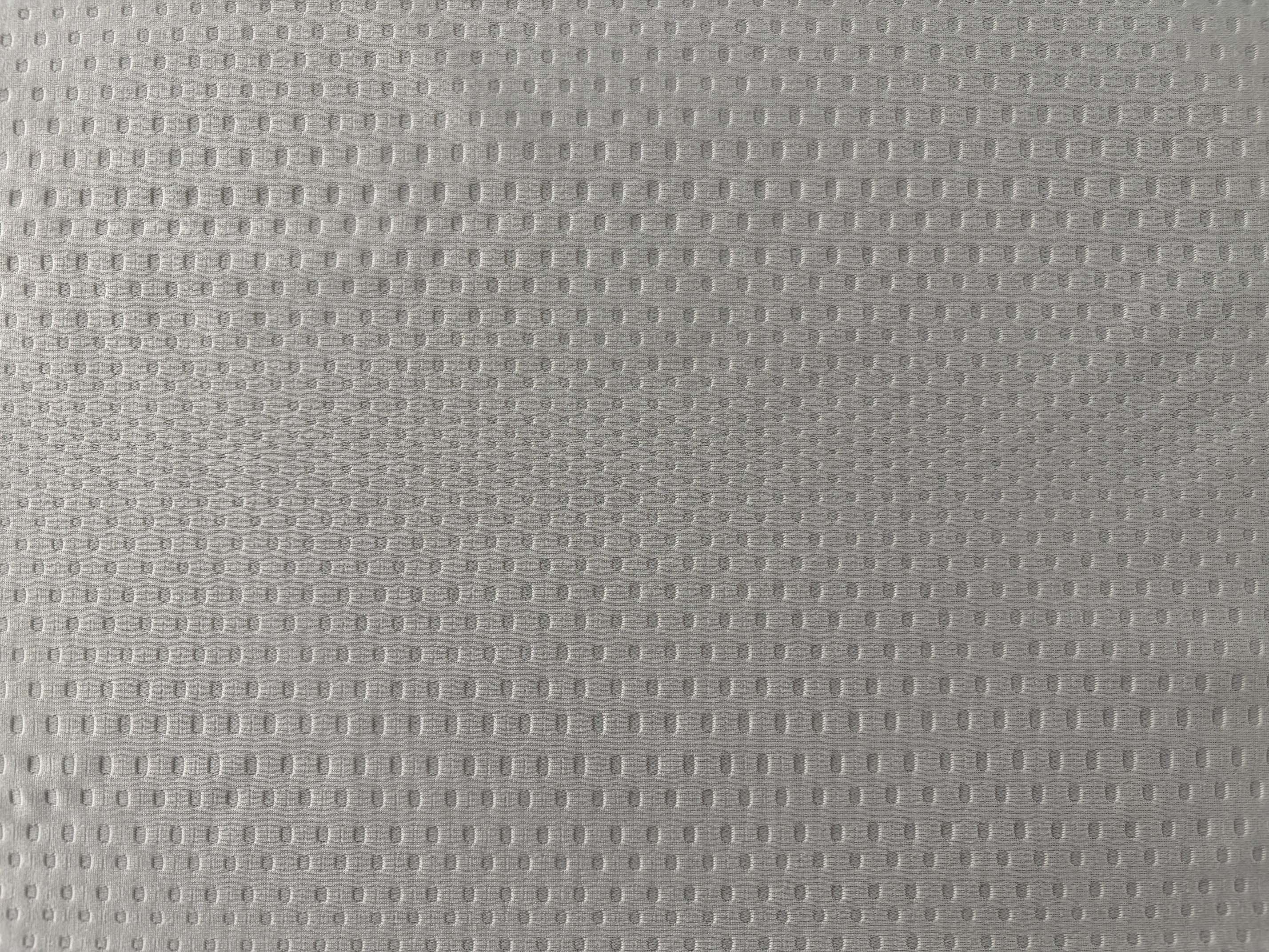 Mesh in Motion Image